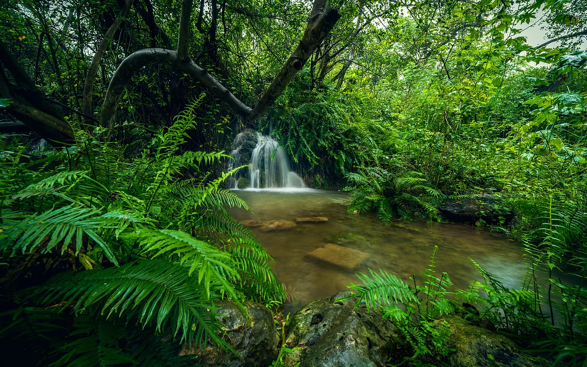 Salalah’s mist-covered valleys and rolling hills offer a cool retreat from Gulf summer heat.
