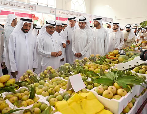 Sheikh Saeed bin Saqr Al Qasimi inaugurates Mango Festival 2025 at Expo Khorfakkan