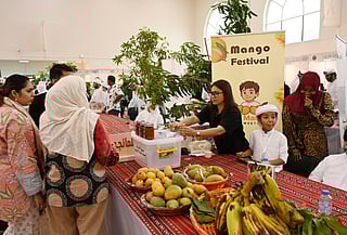 Mango Mania hits Sharjah: Huge turnout at Khorfakkan Mango Festival