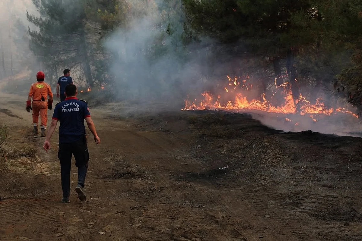 This handout photograph taken and released on June 30, 2025 by Turkish news agency DHA (Demiroren News Agency) shows firefighters working to extinguish wildfire in Sakarya.