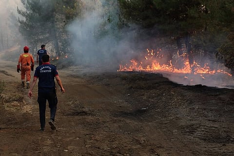 This handout photograph taken and released on June 30, 2025 by Turkish news agency DHA (Demiroren News Agency) shows firefighters working to extinguish wildfire in Sakarya.