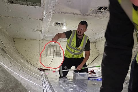 In thit photo released by The Snake Hunter, snake handler Mark Pelley lifts a a harmless 60-centimeter (2-foot) green tree snake in the cargo hold of a plane at Melbourne Airport, Tuesday, July 1, 2025. 