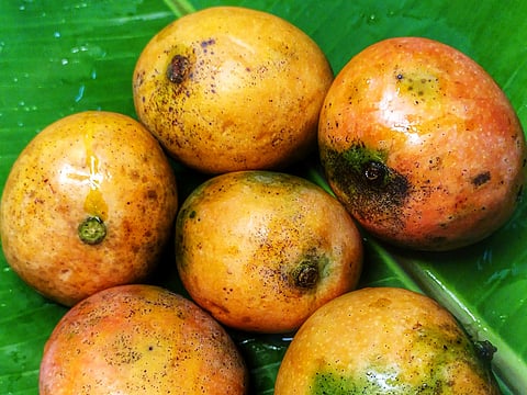 Nicknamed Thiruvananthapuram’s Alphonso, this mango hails from a small village in Kunnathukal panchayat near Parassala, Kerala. 