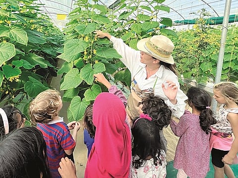 The program offers innovative learning experiences, including tailored activities to support students of determination.