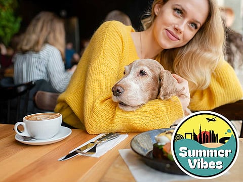 Pawsome Spots: Enjoy Summer Days with Your Pet at These Dubai Cafes