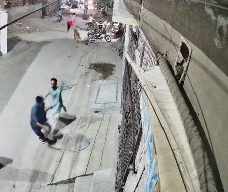 Pakistan: Man arrested after illegal pet lion escapes, injures three people