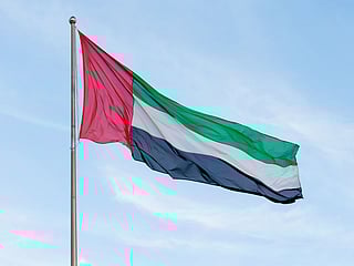 UAE rescues crew of commercial ship attacked in Red Sea
