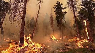 Syria wildfire scorches over 100 km², triggers explosions and exodus