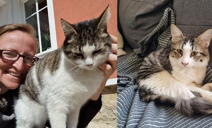 Theresia Gollner has helped over 500 cats in UAE, neutering, nursing and sending them overseas to comfortable homes. 