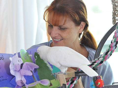 Jennifer Taylor-O' Connor with her bird, Ellie, her 'social media star'