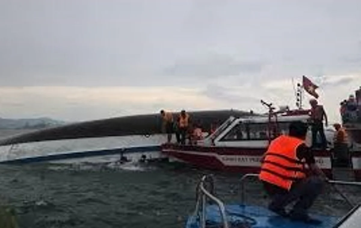 Death toll rises to 37 after ship capsizes in Vietnam