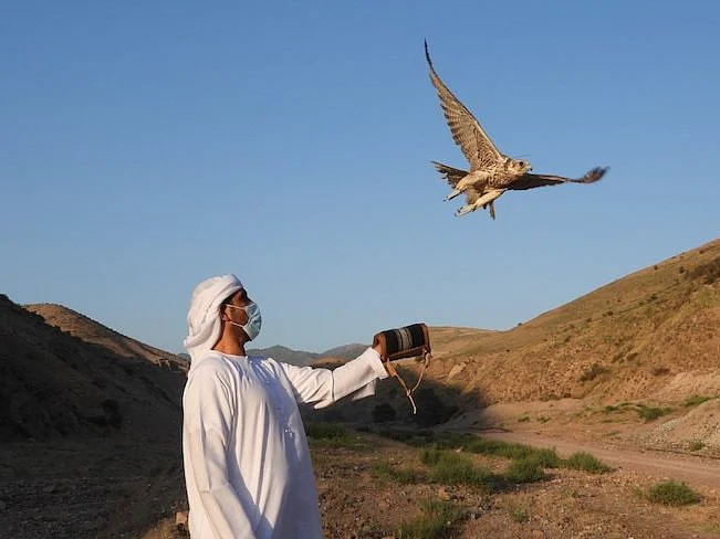 Celebrating 30 years: Sheikh Zayed Program releases 81 falcons into the wild