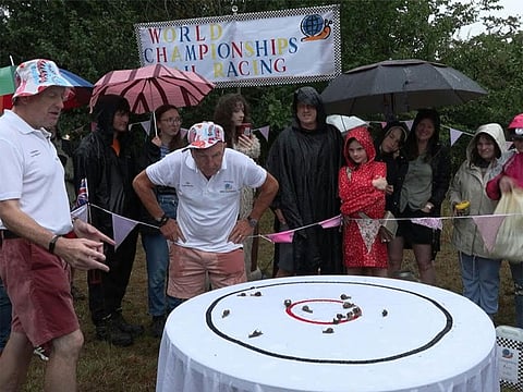 Spectators watch with amusement and anticipation as snails inch toward the finish line at the 2025 World Snail Racing Championships in Norfolk.