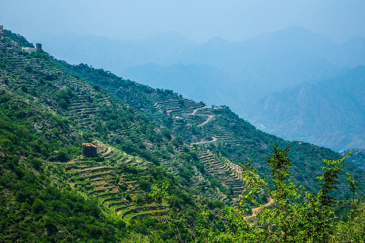 Escape the heat this summer with Aseer’s cool mountain climate, misty peaks, lush greenery, and rich cultural heritage - all just a short flight from the UAE. 