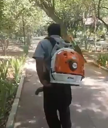 The civic body’s vector control department has ramped up efforts, especially in high-incidence zones.