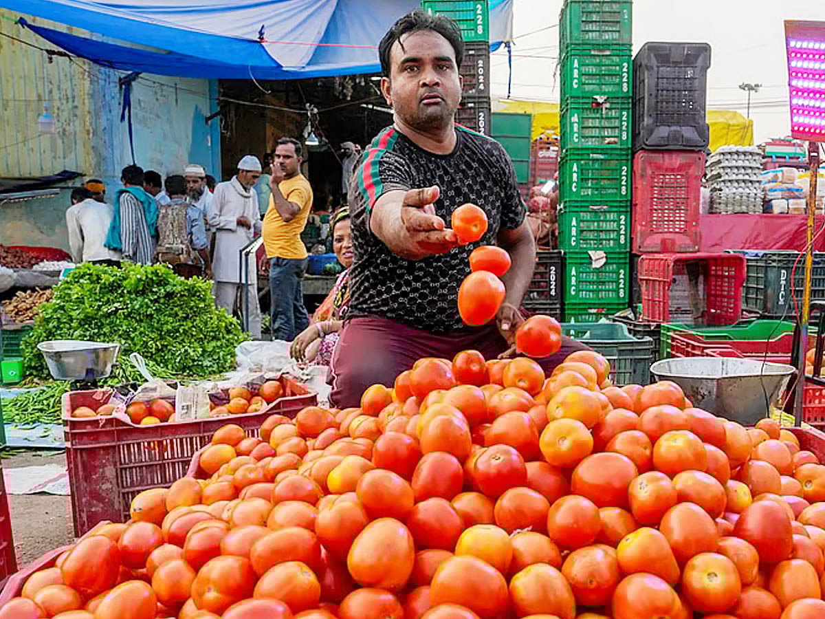 A vendor arranges tomatoes on a cart  in New Delhi. (Picture for illustrative purpose only)