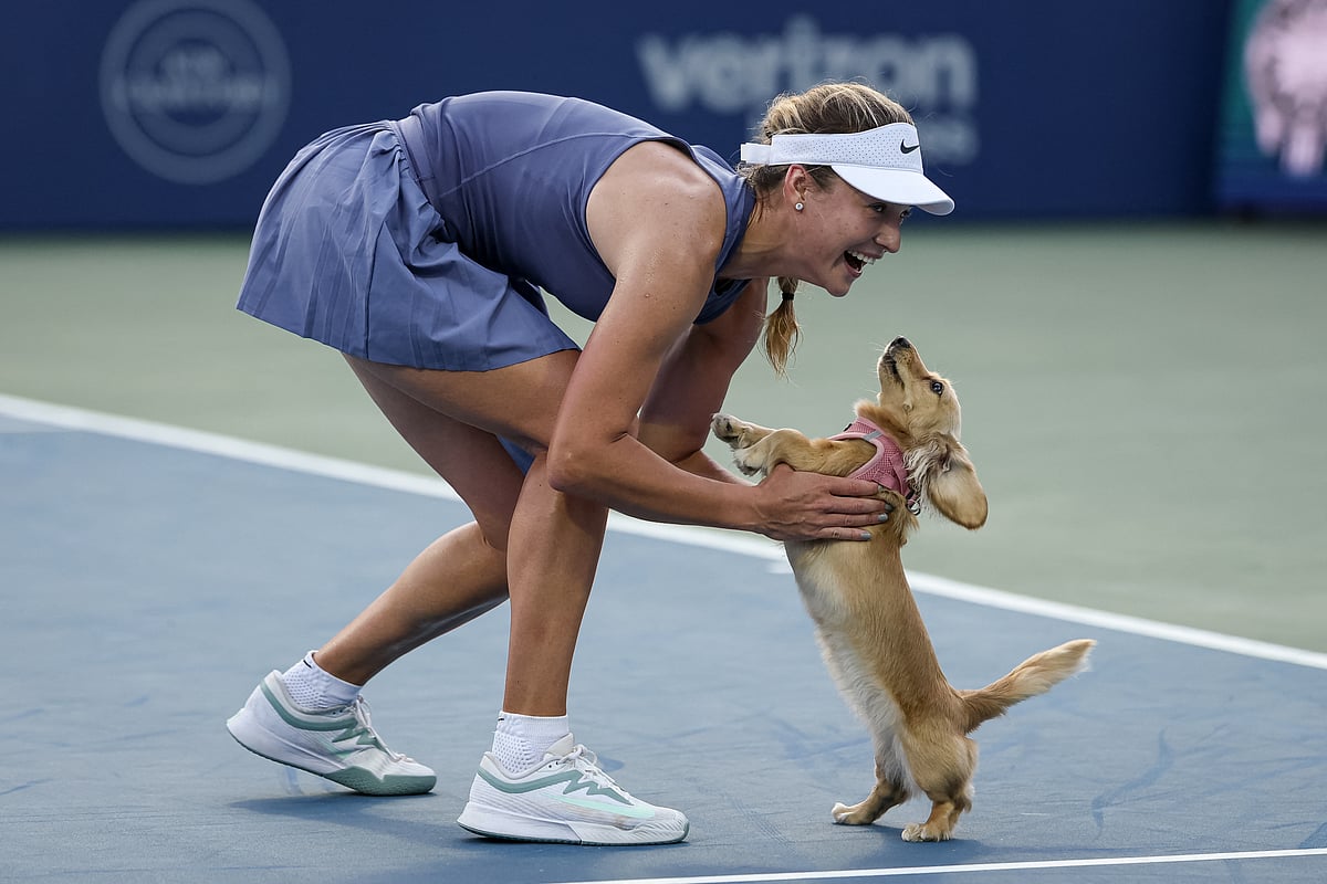 Anna Kalinskaya celebrates with her dog Bella on the court after winning her women's singles match against Emma Raducanu of the United Kingdom on day 6 of the Mubadala Citi DC Open 2025 at William H.G. FitzGerald Tennis Center on July 26, 2025 in Washington, DC.