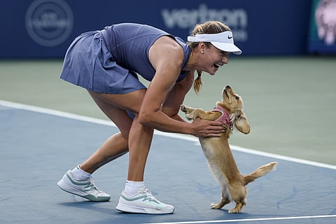 Anna Kalinskaya celebrates with her dog Bella on the court after winning her women's singles match against Emma Raducanu of the United Kingdom on day 6 of the Mubadala Citi DC Open 2025 at William H.G. FitzGerald Tennis Center on July 26, 2025 in Washington, DC.