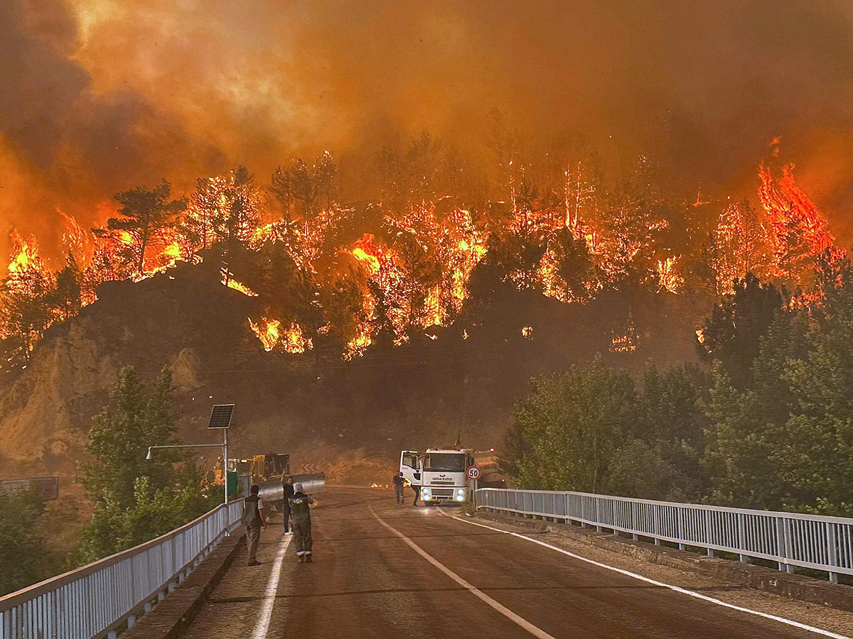 A wildfire rages across a forested area near Cavuslar village, in Karabuk district, northwest Turkey, Wednesday, July 23, 2025. 