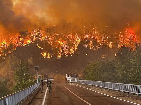A wildfire rages across a forested area near Cavuslar village, in Karabuk district, northwest Turkey, Wednesday, July 23, 2025. 