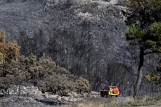 A French firefighters' car is seen driving among burnt trees and scorched land following wildfires at the Mount Saint Victor, in the Aude department in southern France.
