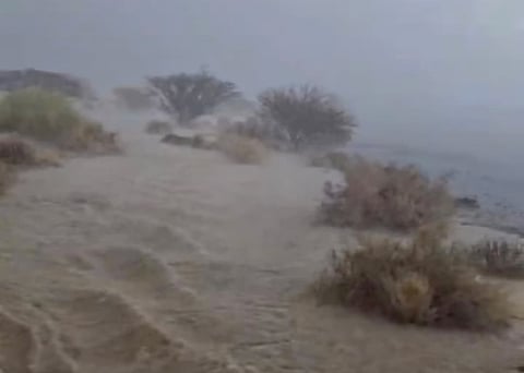 UAE weather: Rain continues in Al Ain, more showers expected tomorrow