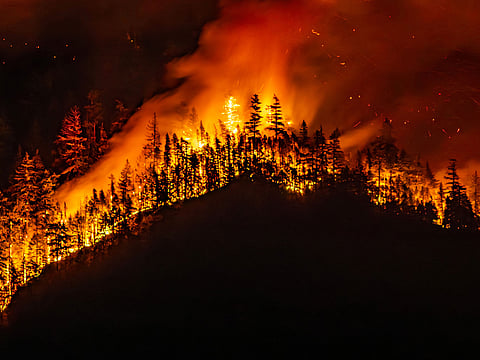 A wildfire burns on Mount Underwood near Port Alberni, on Vancouver Island, British Columbia.