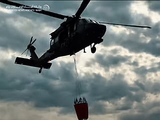 UAE team continues extinguishing wildfires in Albania