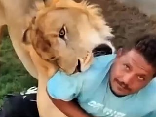 Libya farm owner arrested for unleashing lion on worker