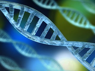 Scientists use gene-edited cells to treat diabetes