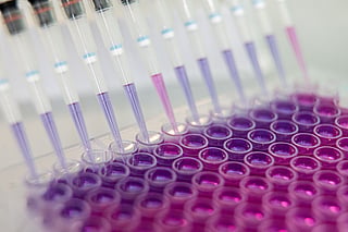 Coronavirus Vaccine Research at Valneva SA Labs