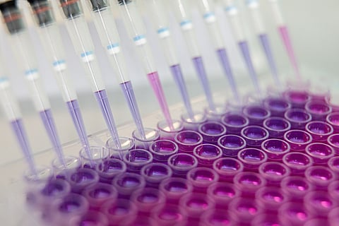 Partnership explores AI-driven vaccine discovery and advanced manufacturing capabilities.