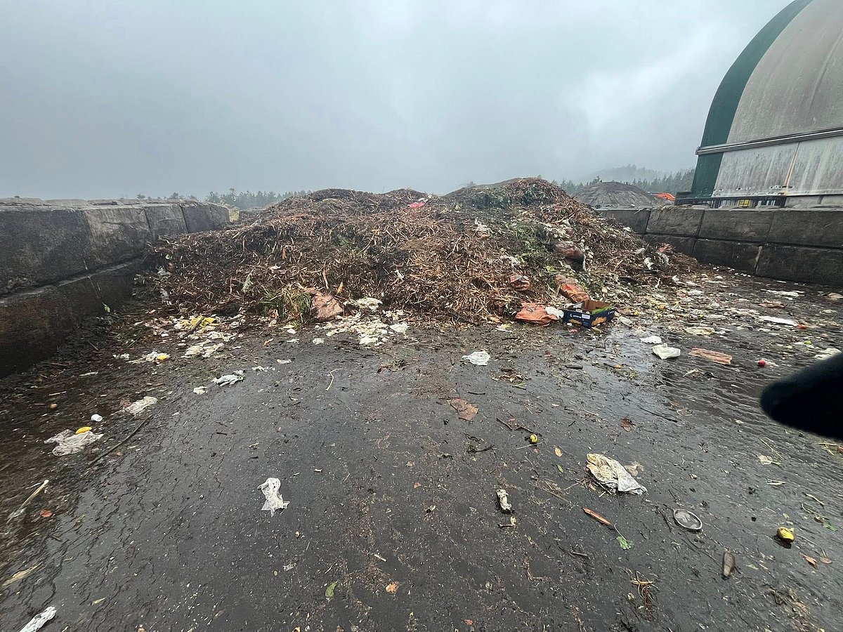 Husband braves 18 tons of trash to look for lost wedding rings