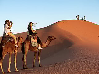UAE Desert Safari Dubai: The ultimate guide to family-friendly desert adventures