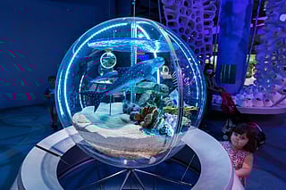 Adventure for the whole family at the Guardians of Water Festival at Terra, Expo City Dubai! Kids under 12 go free.
