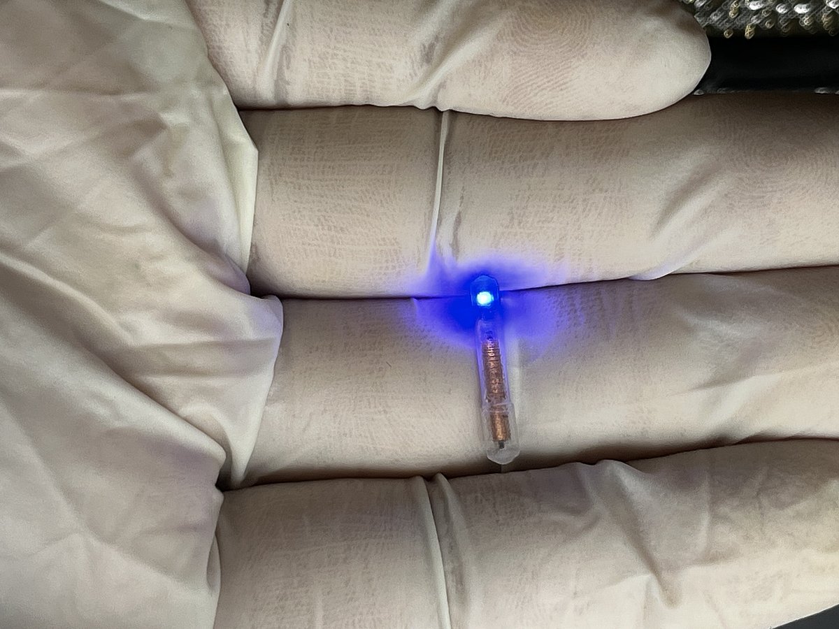 Researchers at NYU Abu Dhabi (NYUAD) have developed an ingestible device that could use light to activate neurons in the gut
