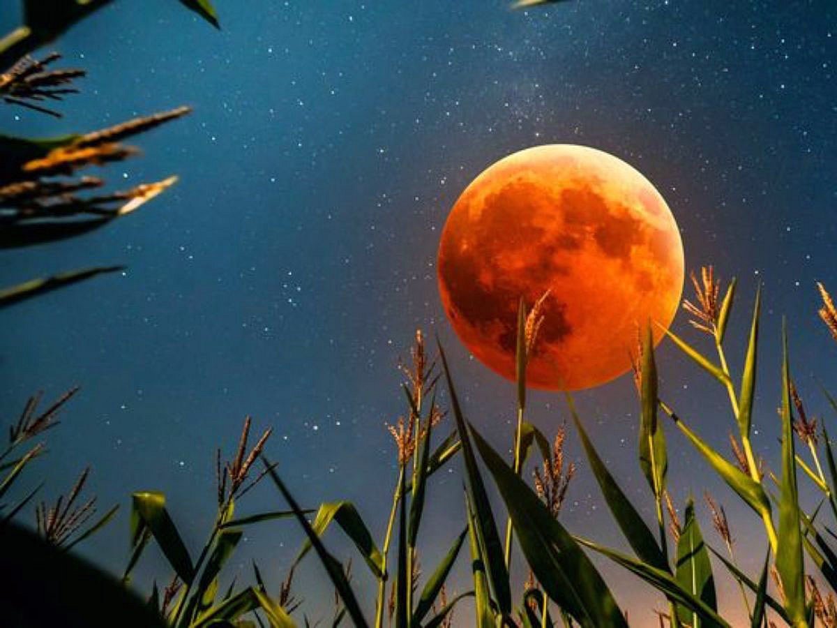 corn-moon