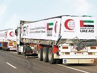 UAE’s global humanitarian role praised by UNICEF