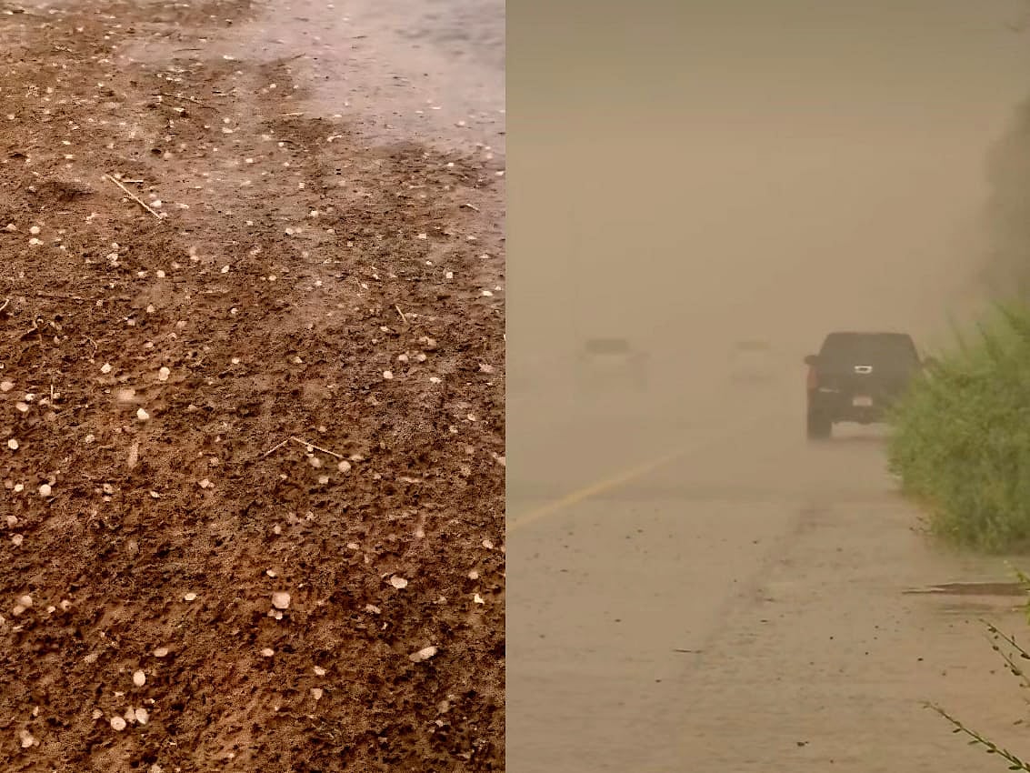 Hail, heavy rain hits UAE