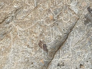 Ancient rock illustrations unearthed in Oman