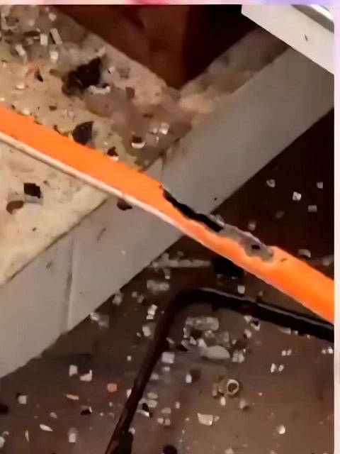 The blast, caused by a rat chewing through a kitchen gas pipe, happened late in the evening while the family was gathered at their mother’s nearby home.