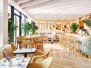 Top dining spots for every taste and occasion