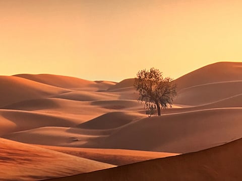 On the way to Al Ain, the desert reveals a stunning panorama of golden sands and rusty dunes. Sunlight, shadows, and warm breezes create a mesmerising tapestry of colours, capturing the timeless beauty of this arid wonderland. Captured by Gulf News reader Naveen Aggarwal.