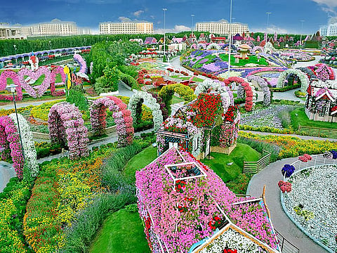 Dubai’s outdoor season returns this October. Explore reopening dates for Global Village, Dubai Fountain, Dubai Safari Park and more.