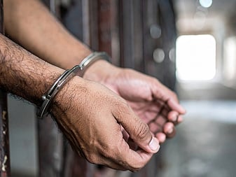 He will be deported after he completes his jail term