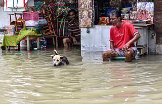 No respite in sight for Kolkata after cloudburst as Met office warns of more rains in next few days.