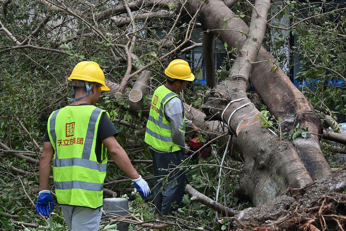 Workers cut and remove a fallen tree following the passage of Super Typhoon Ragasa in Yangjiang, southern China’s Guangdong province on September 25, 2025.