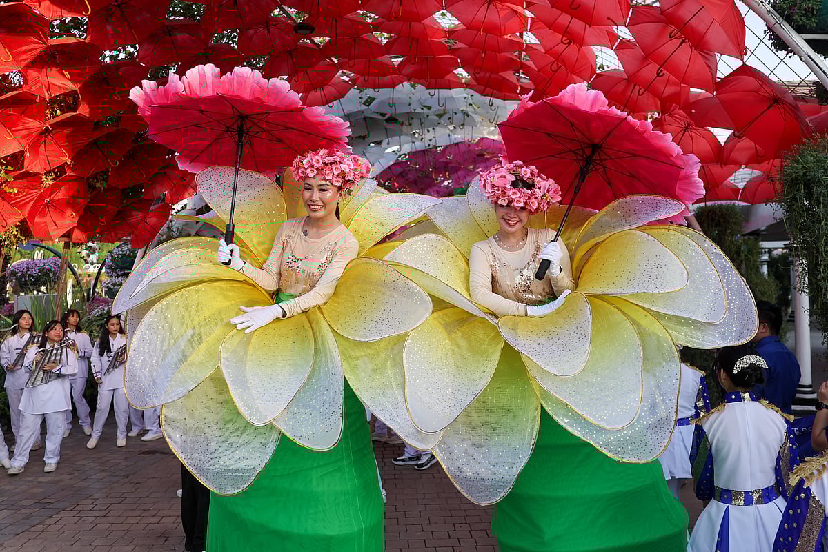 Miracle Garden on the opening day on 29 Sept 2025