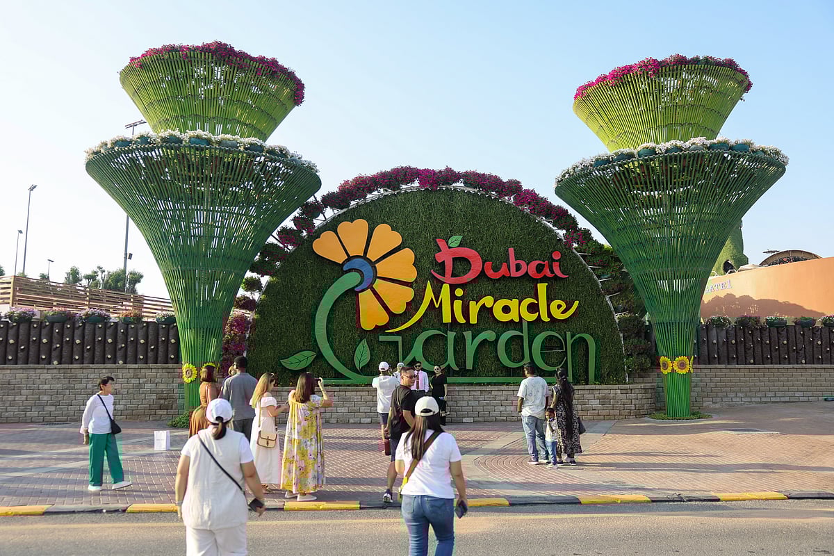 Miracle Garden 1