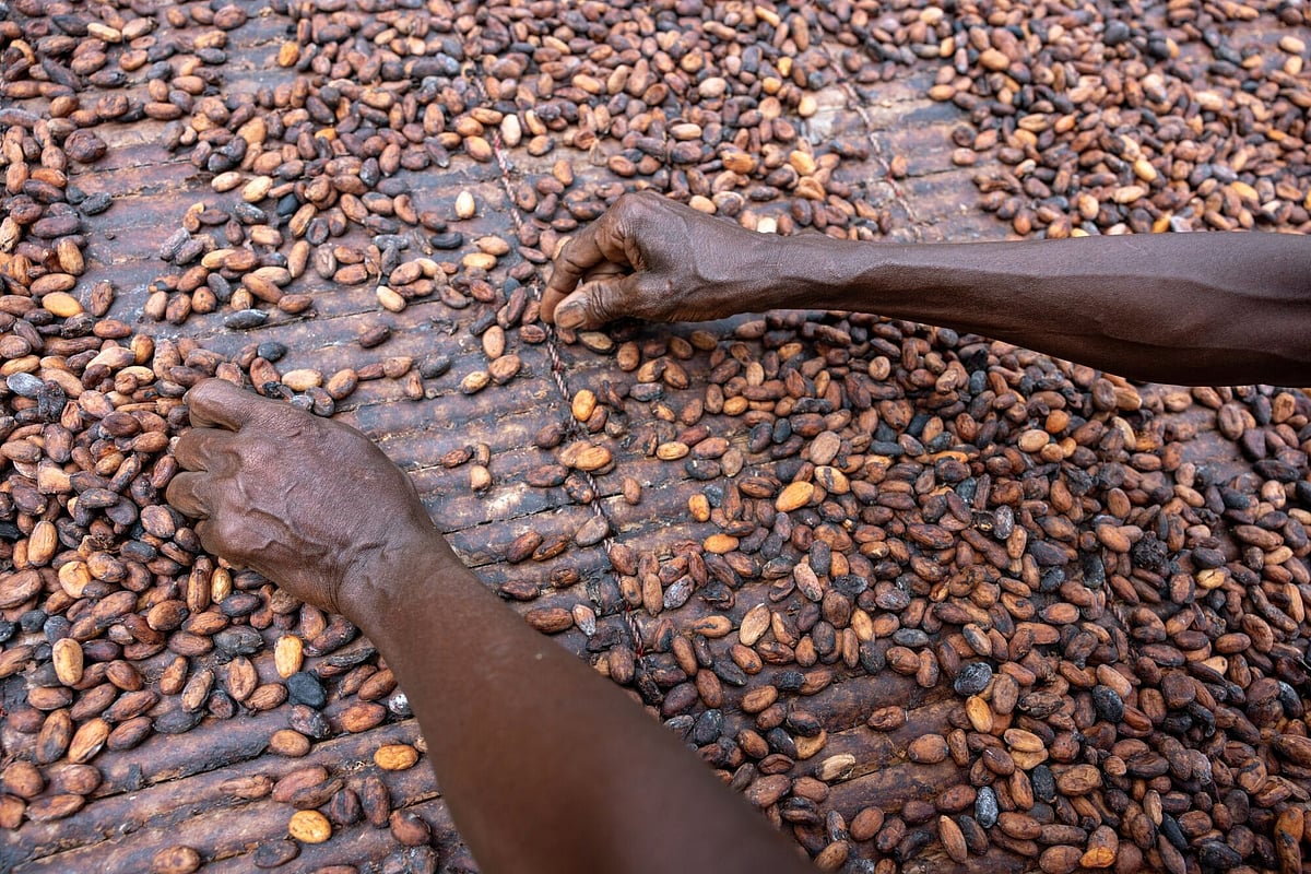 African cocoa harvest might improve but your chocolate prices won’t.